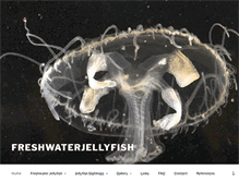 Tablet Screenshot of freshwaterjellyfish.org